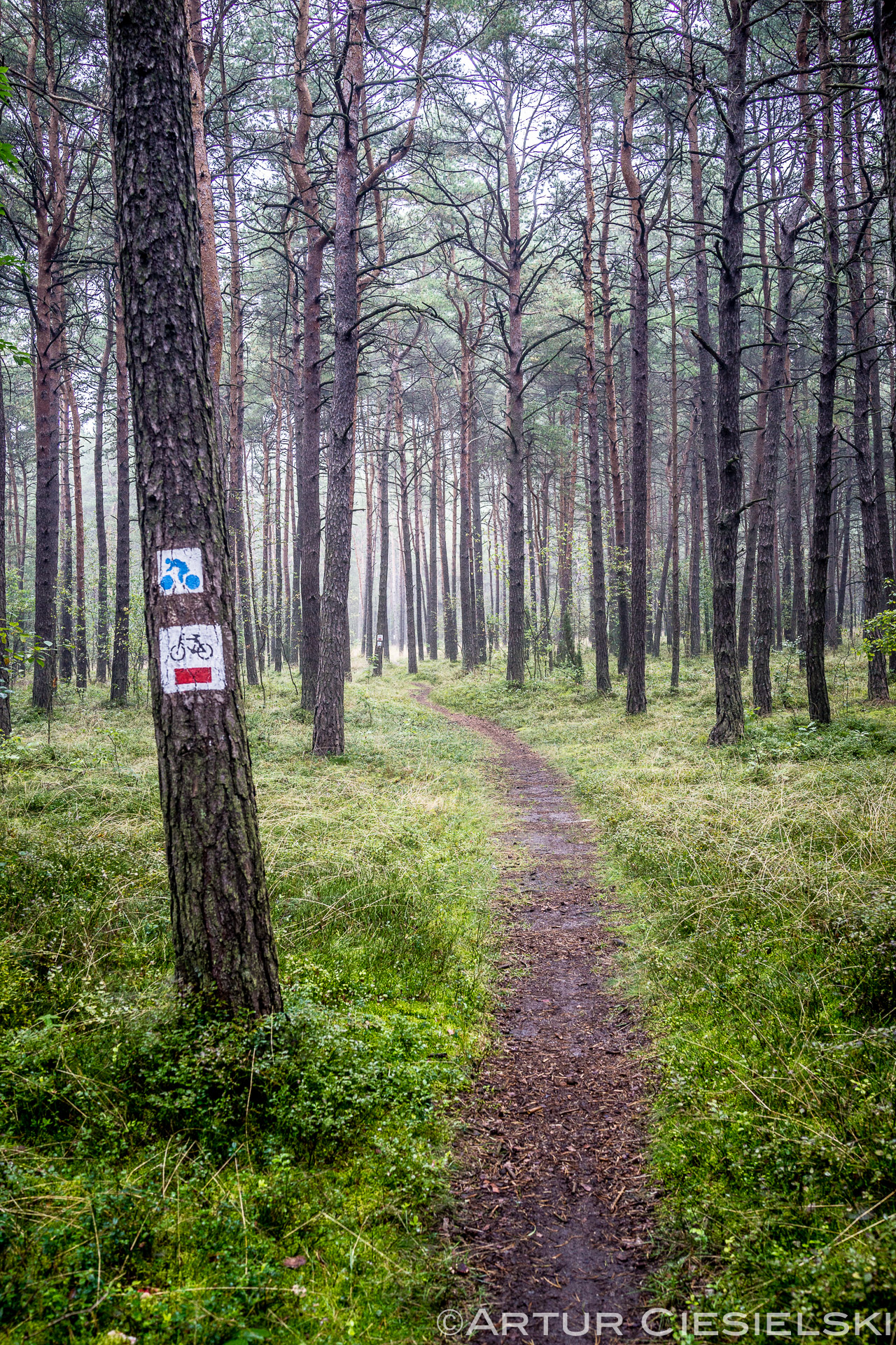 2014 photos selection-19