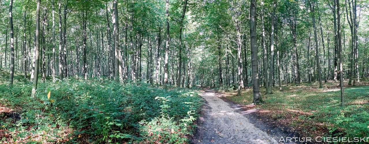 2014 photos selection-20