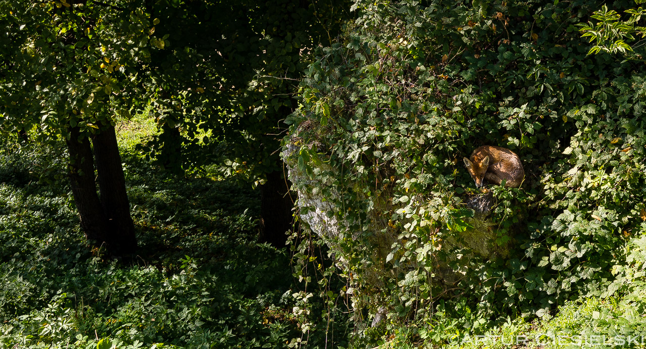 2014 photos selection-27