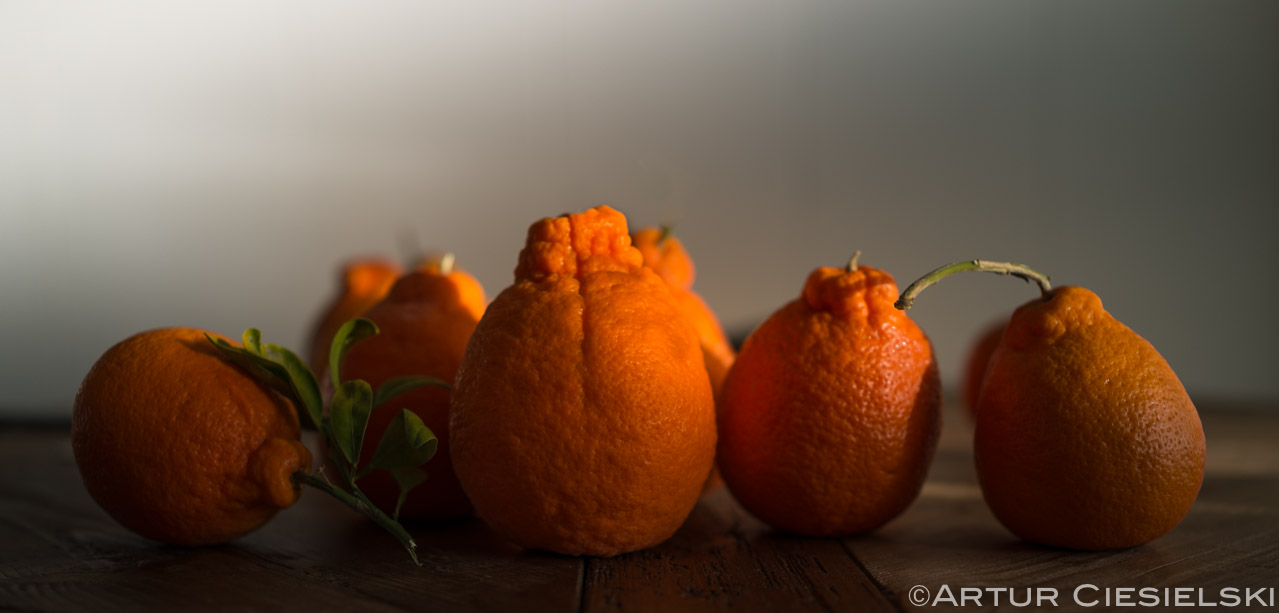 2014 photos selection-5