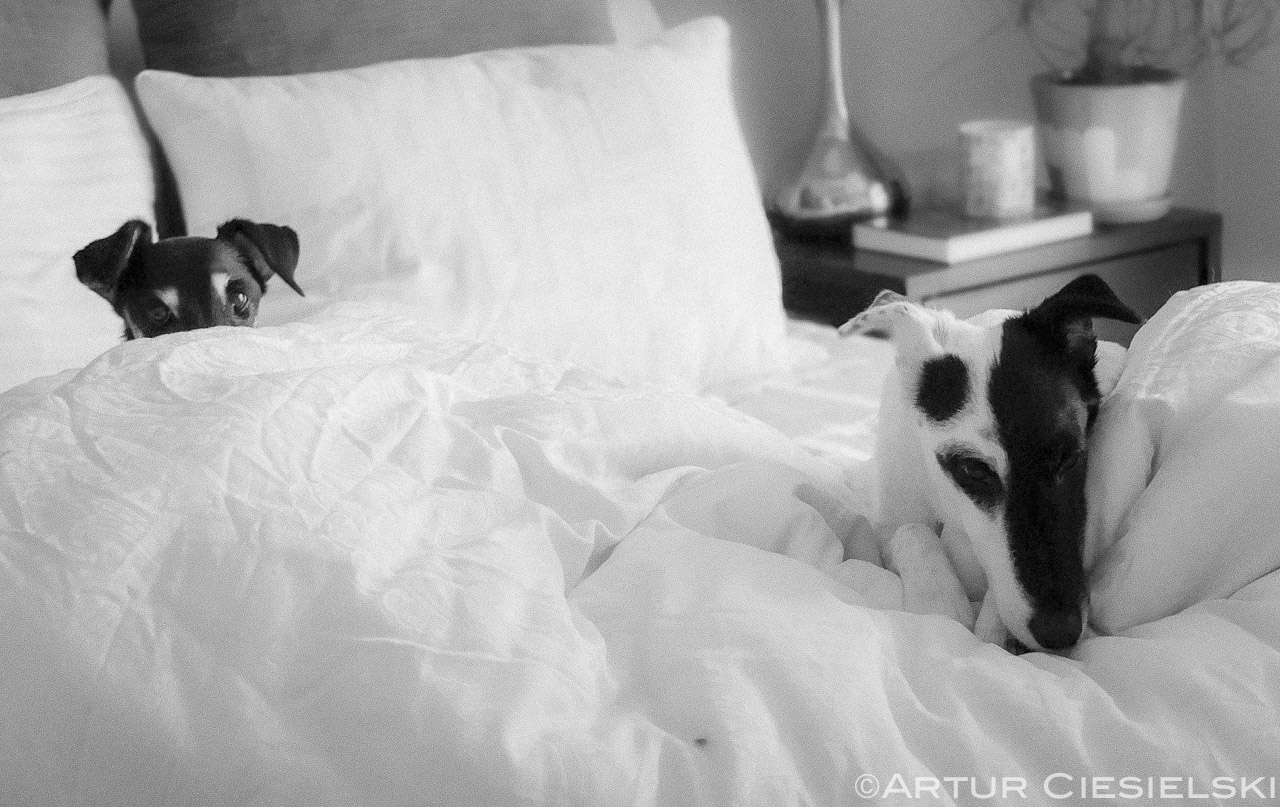 2014 photos selection