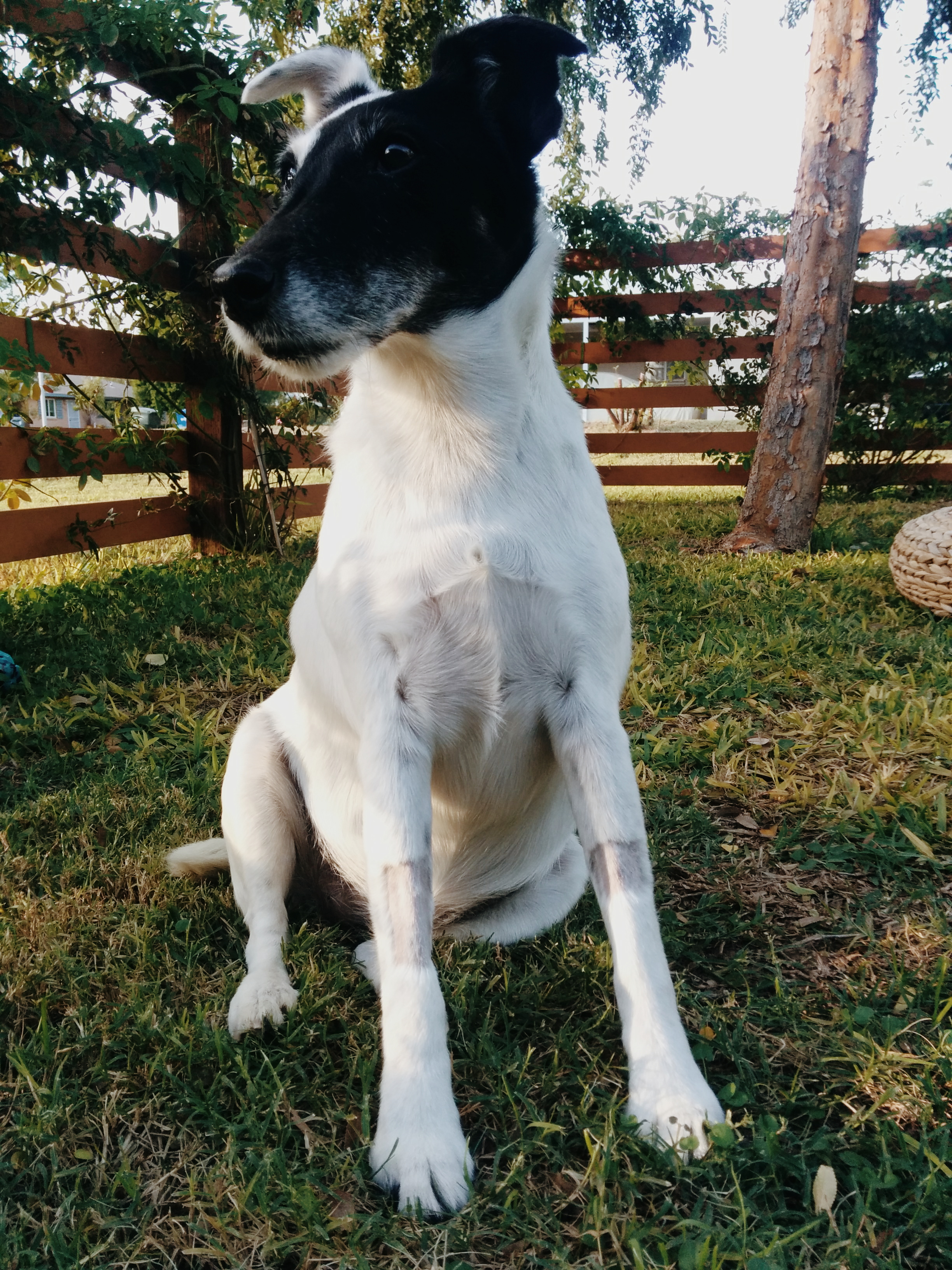 The wind howled through the house, slamming a door and sending Maya running outside where she sat on the grass for about an hour.