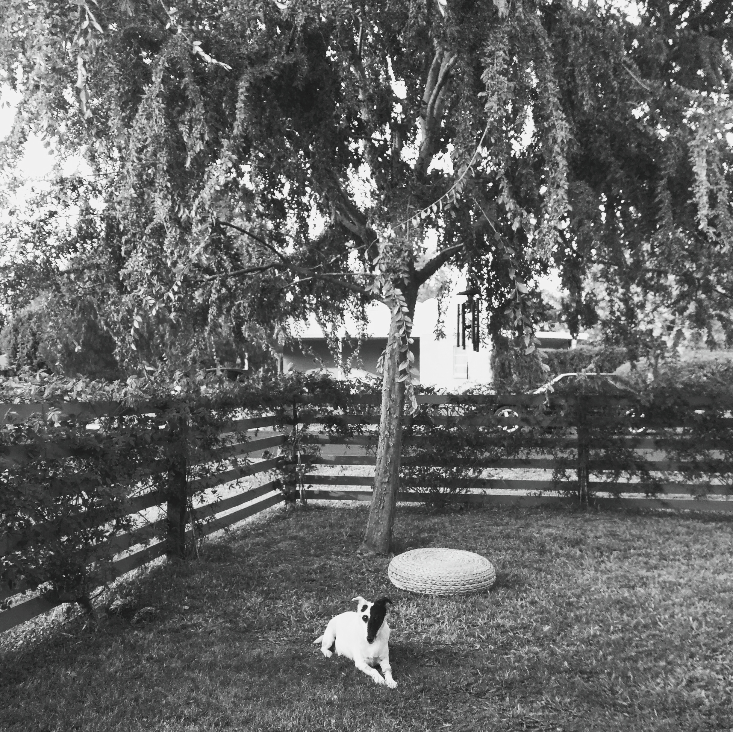 Processed with VSCO with b6 preset