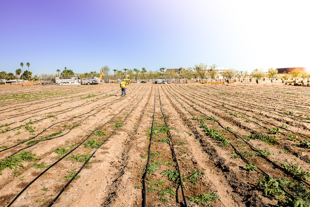 About Glenrosa and Central - a farm.