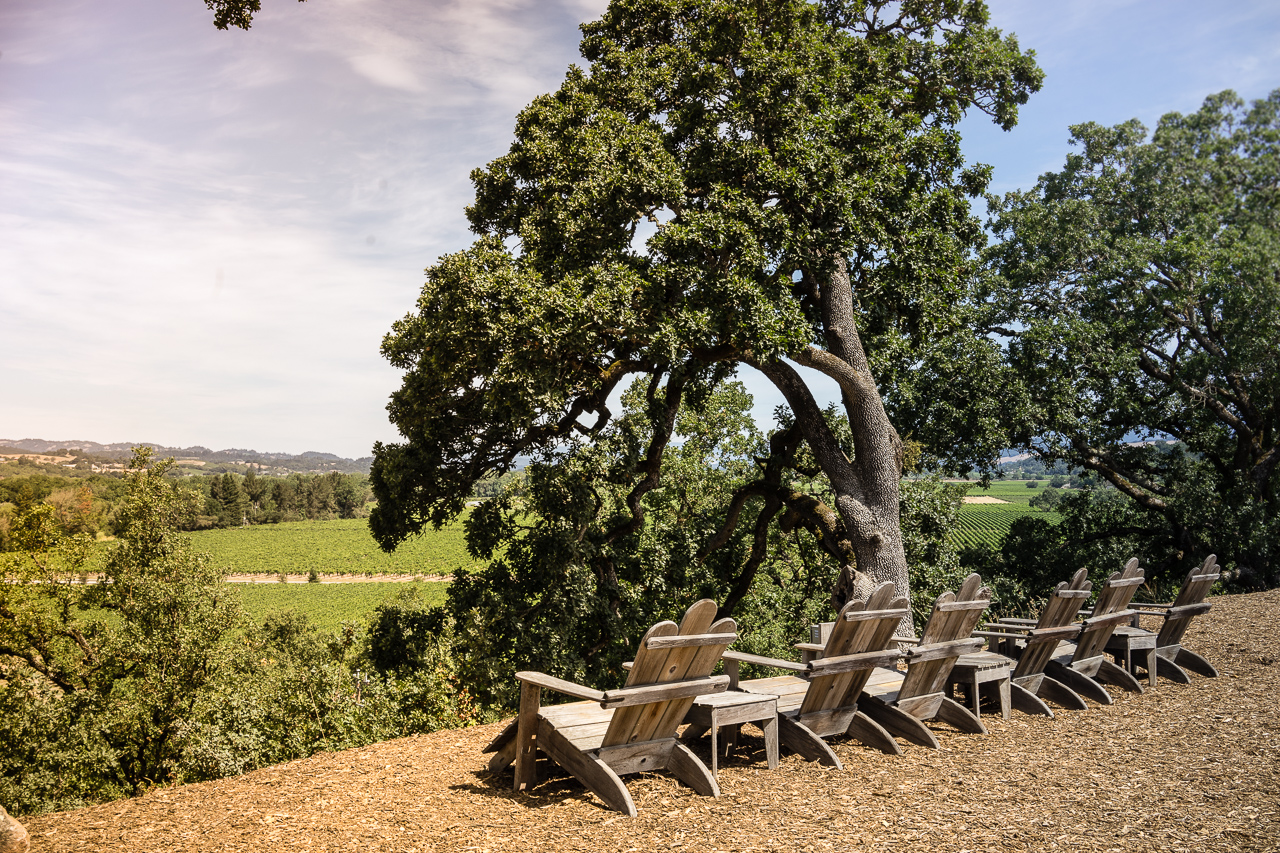 Copain Winery-11