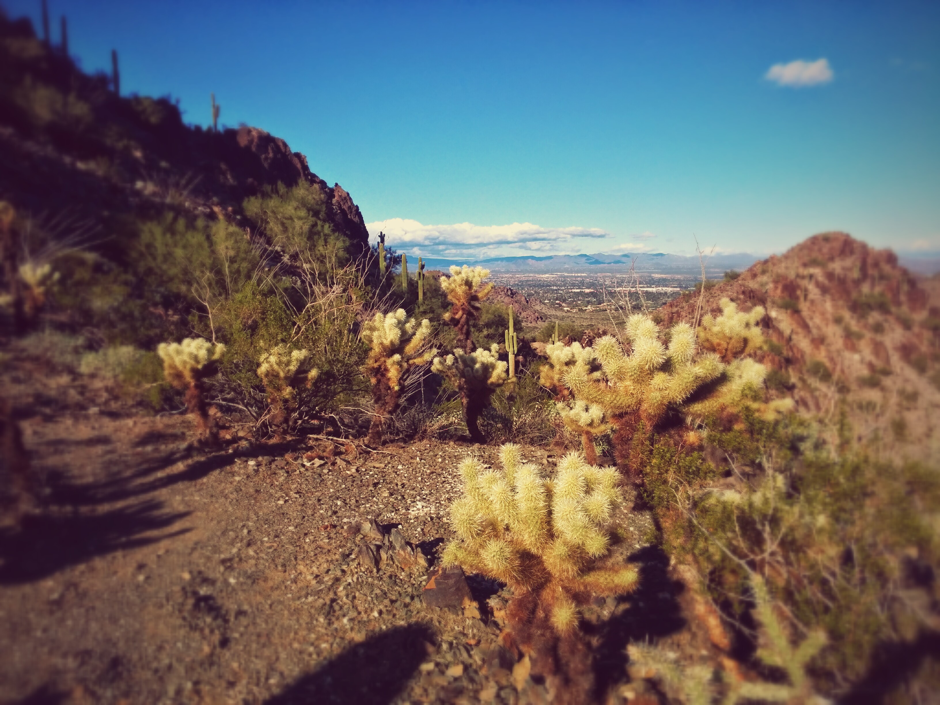 hiking in the phoenix mountains