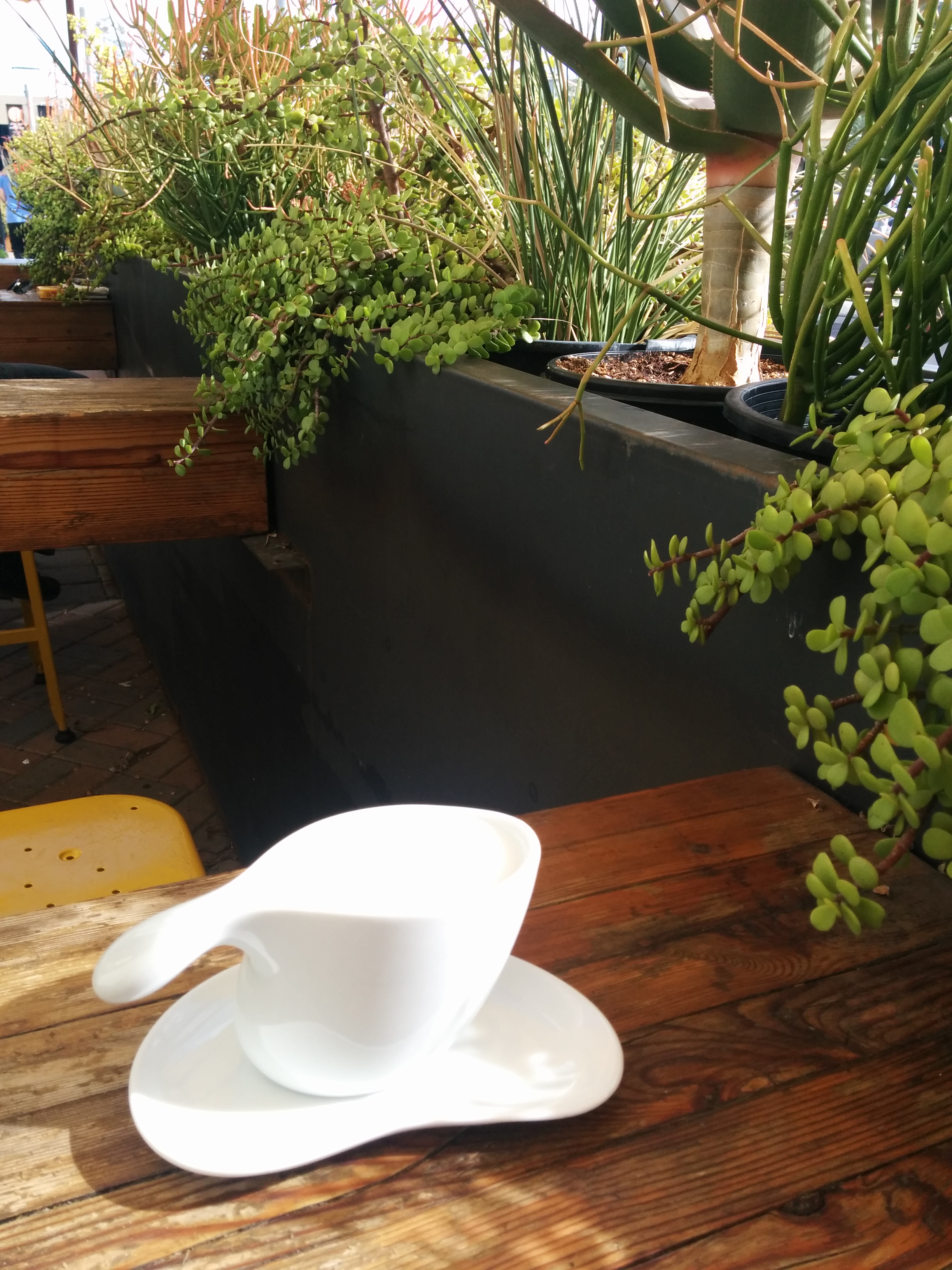 A cappuccino at Royal Coffee