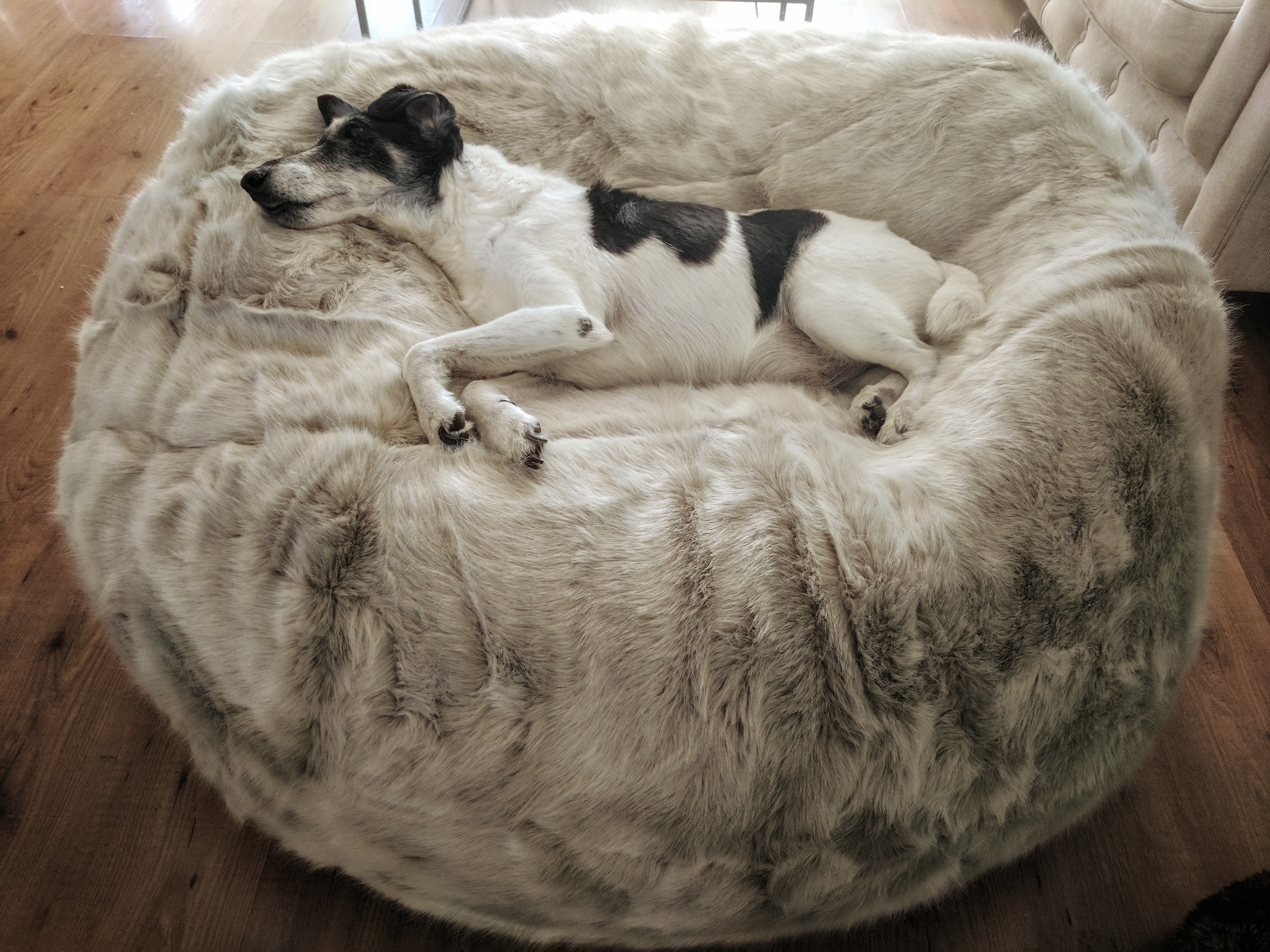 Rupik - photo taken with a Google Pixel and processed in Snapspeed.