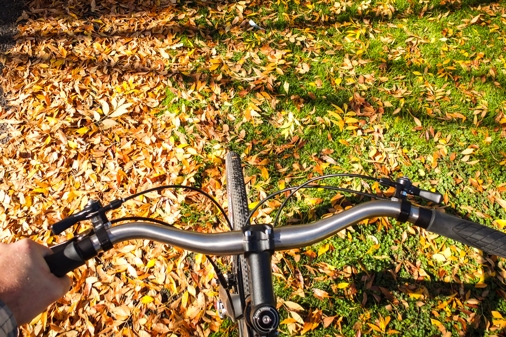 Last Of Fall Leaves 2013-4