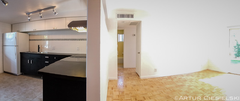 Mid Century Modern Apartment Remodel