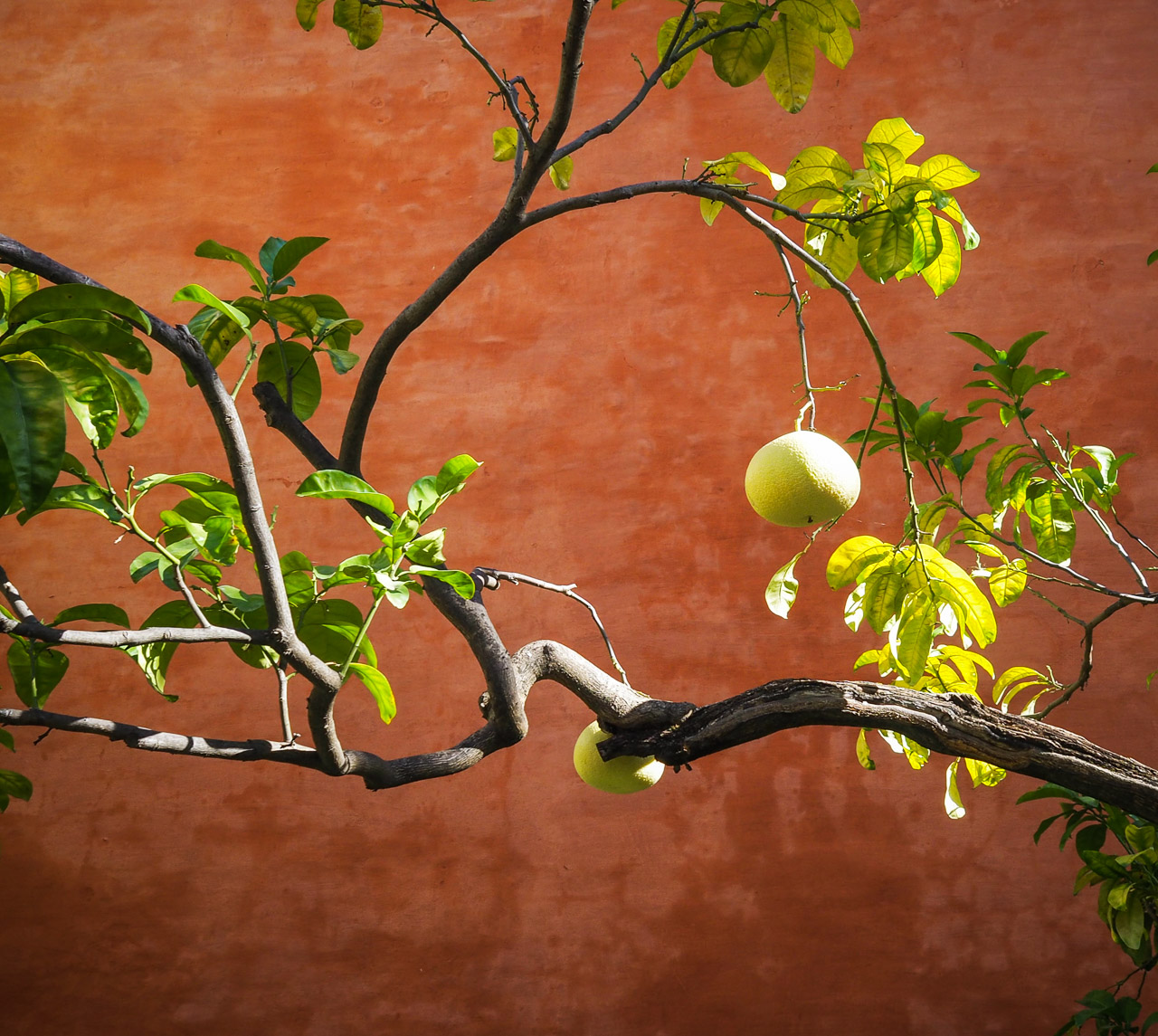 Seville Spain Day 2-10