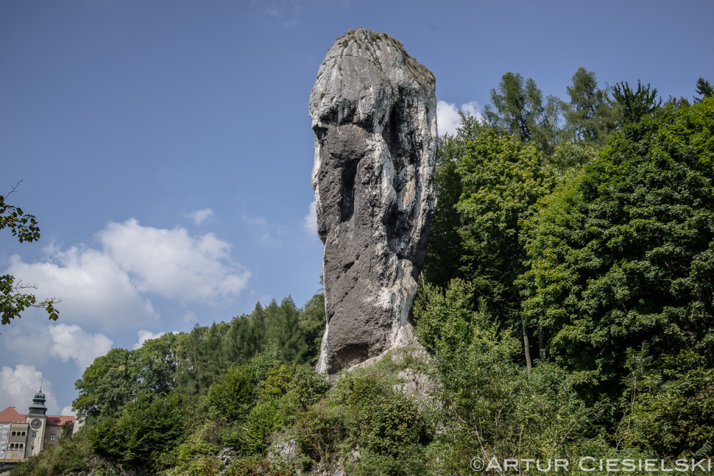 Szlak Orlich Gniazd-5