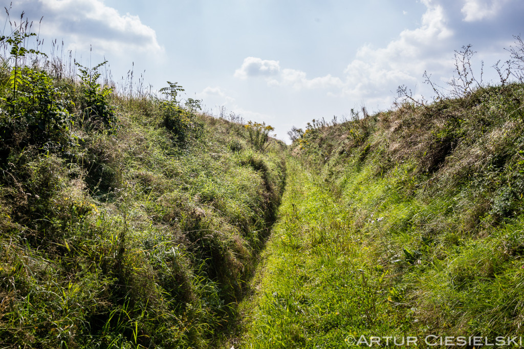 Szlak Orlich Gniazd-7