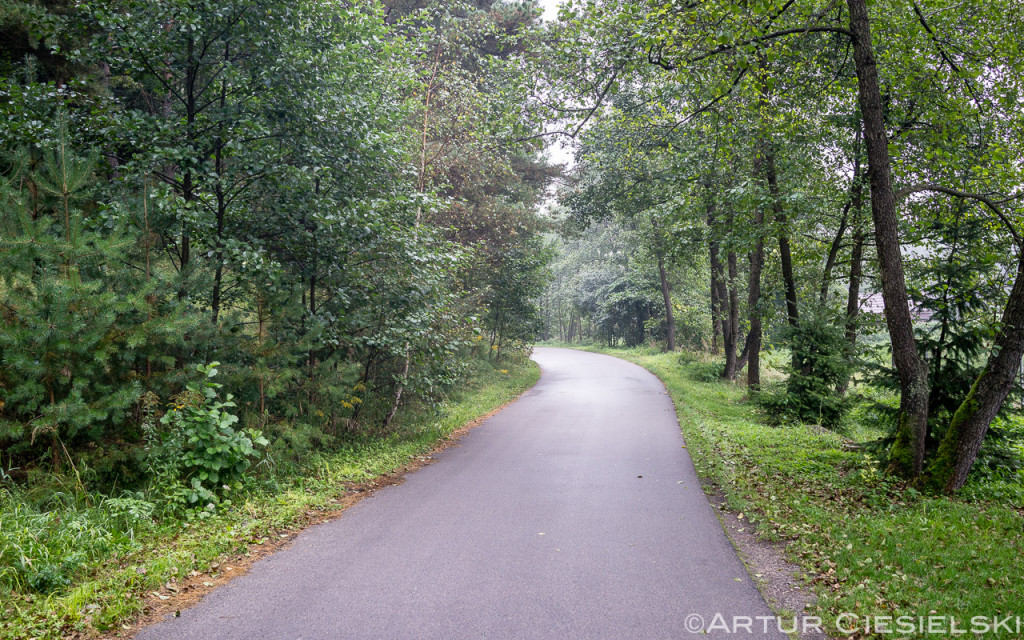 Szlak Orlich Gniazd Day 2