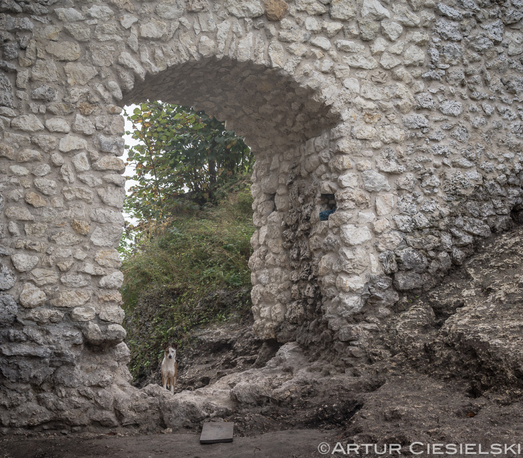 Szlak Orlich Gniazd Day 2-7