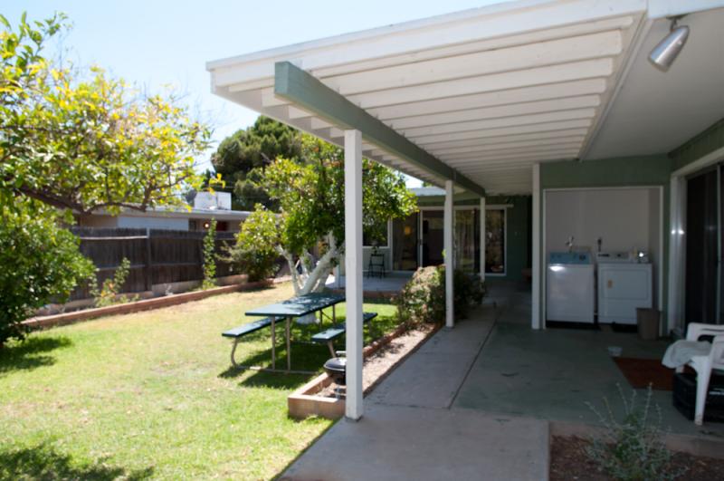 Early 2009 with three orange trees.