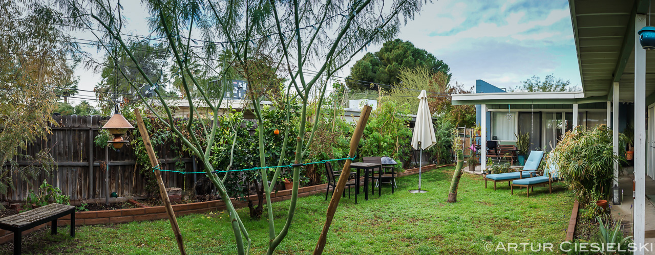 Mid January 2015 - After a few wet days.