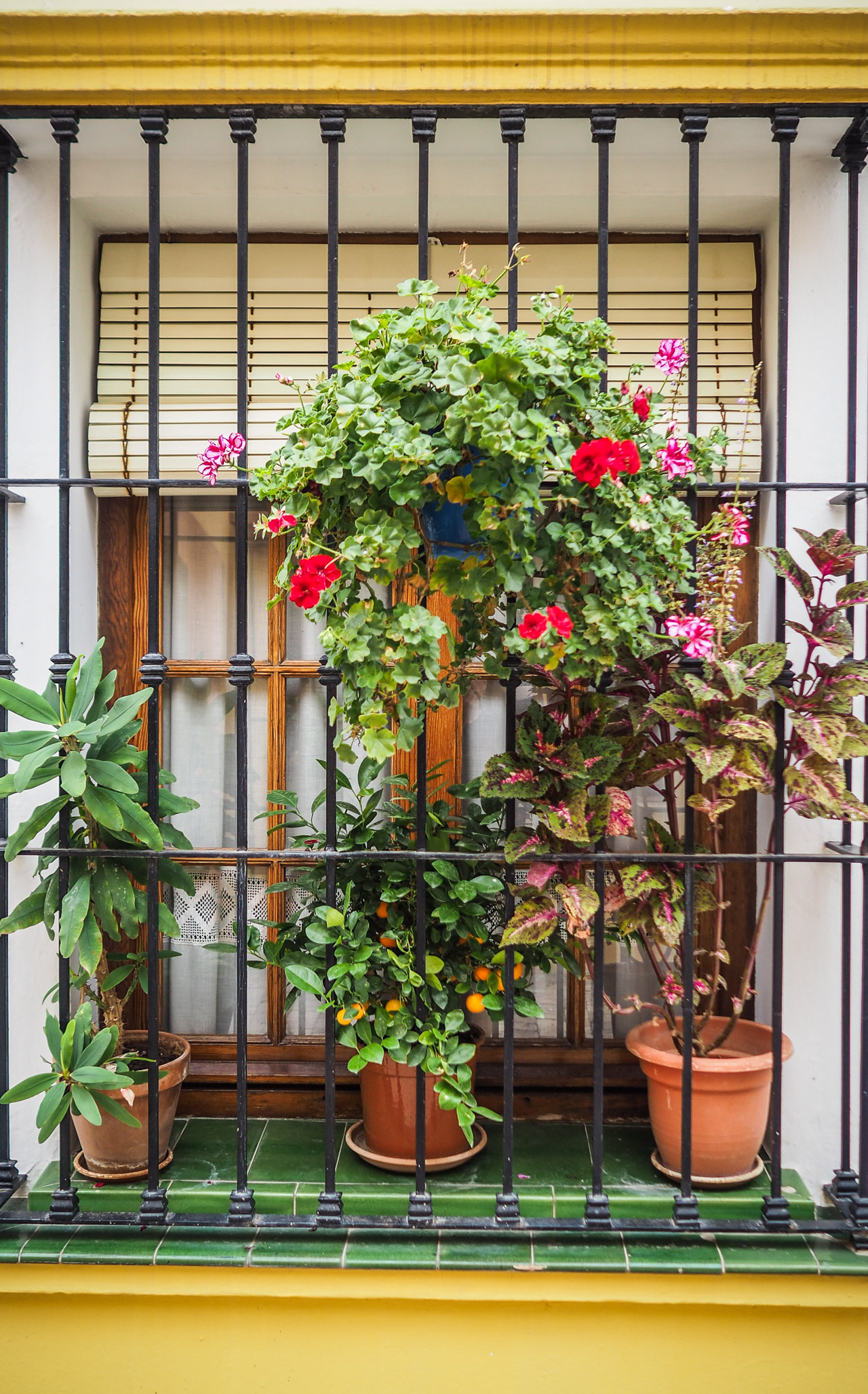 city of estapolle spain-2