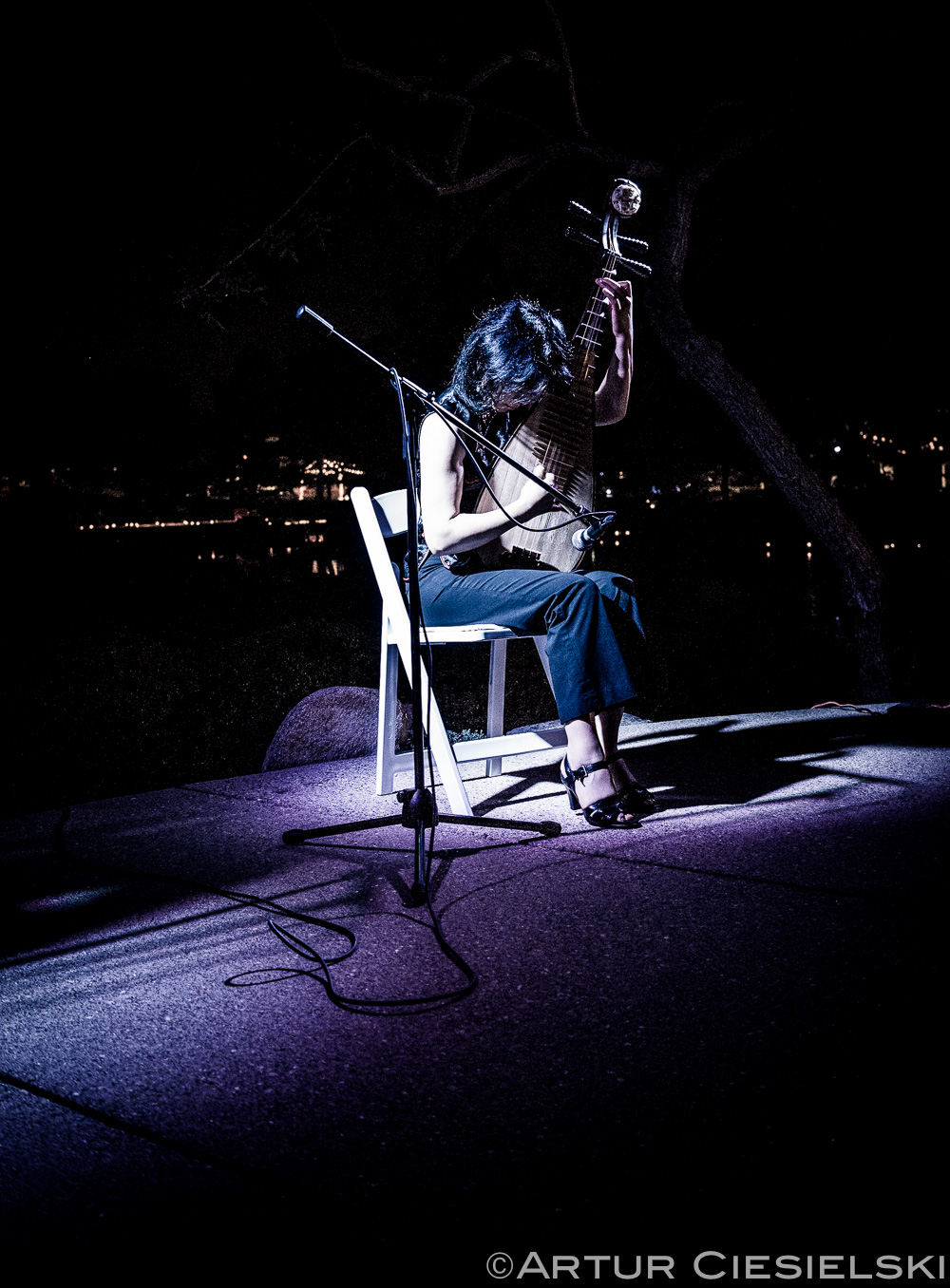 haru at japanese friendship garden in phoenix