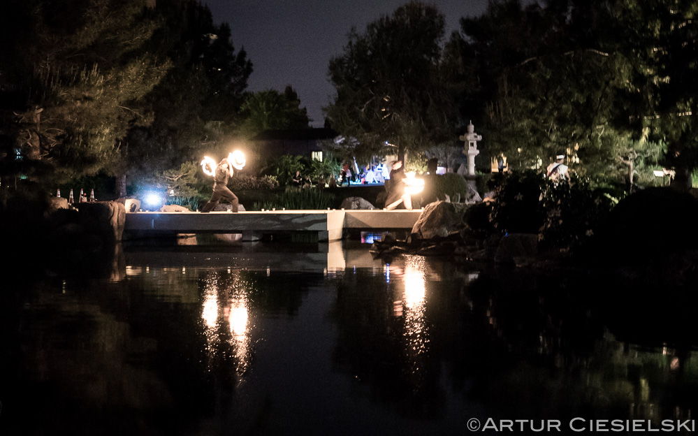 haru at japanese friendship garden in phoenix