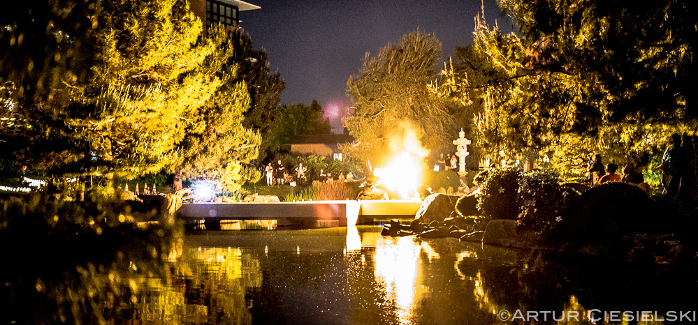 haru at japanese friendship garden in phoenix