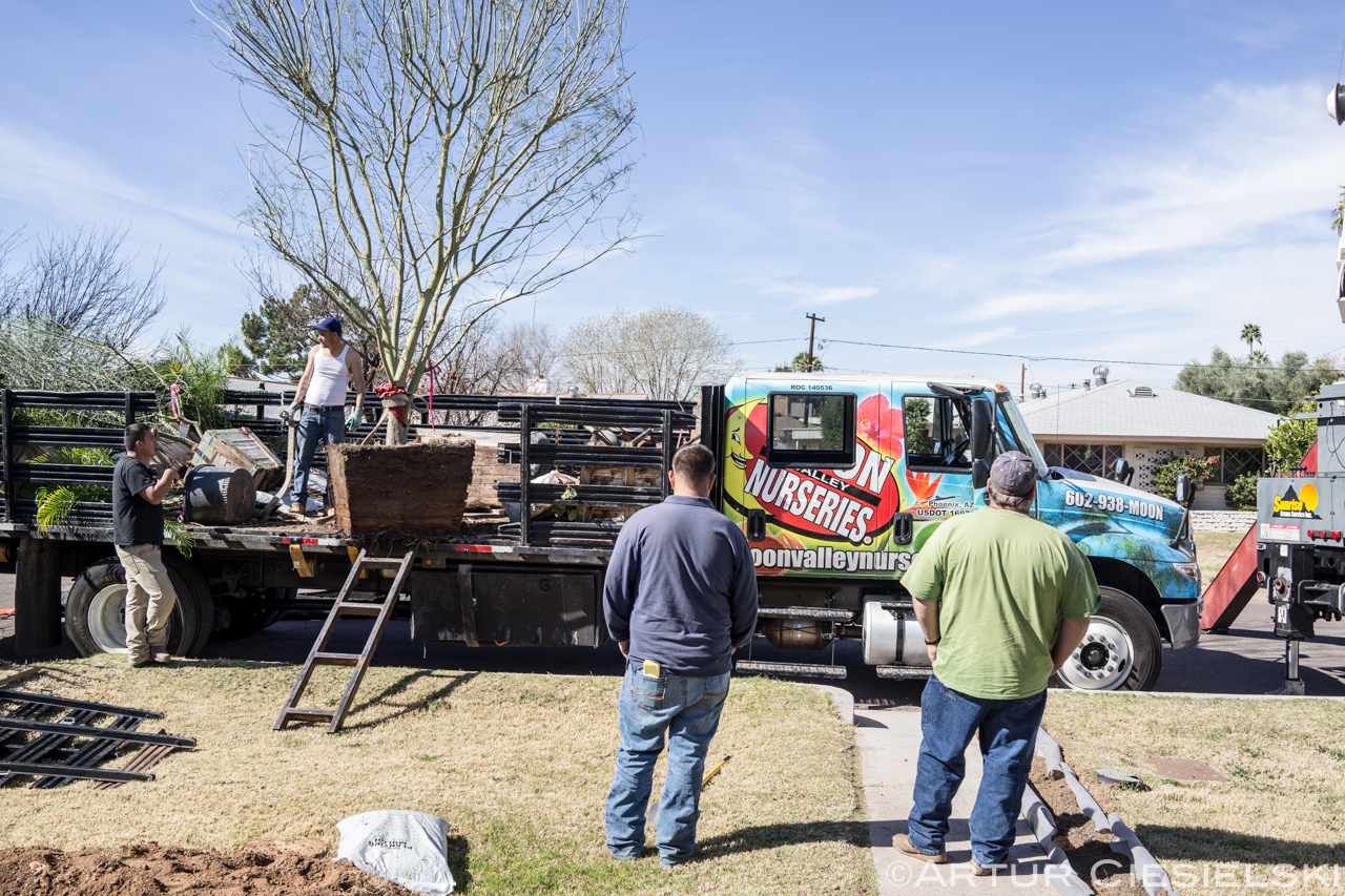 instal of the palo verde in phoenix-6