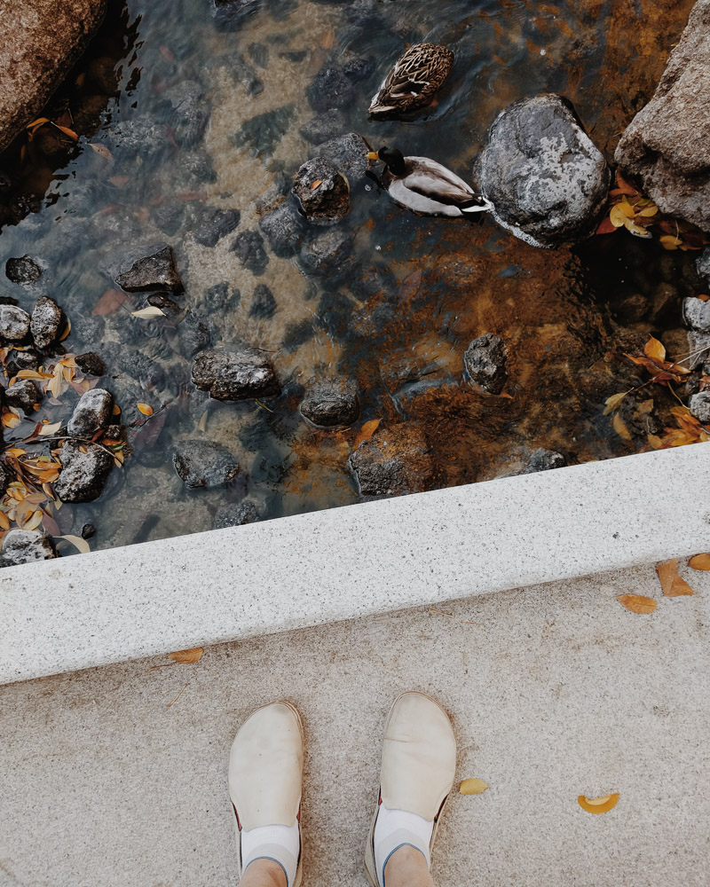 japanese friendship garden-2