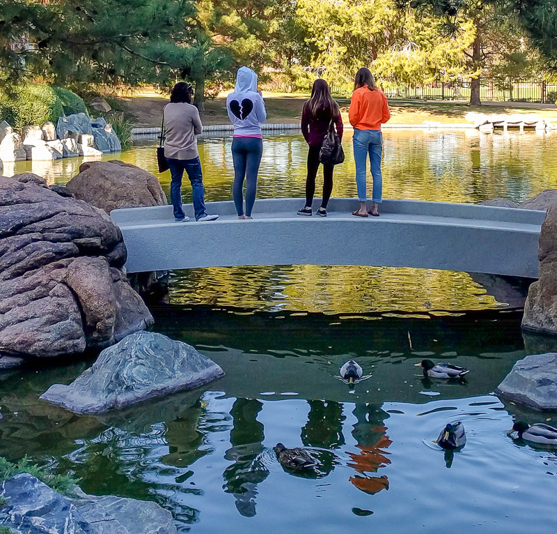 japanese friendship garden
