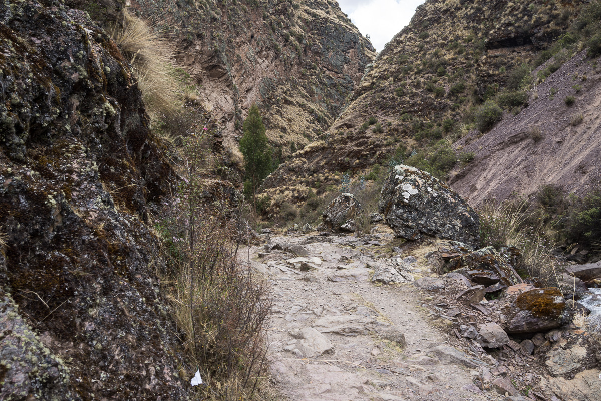 lares downhill trail-7