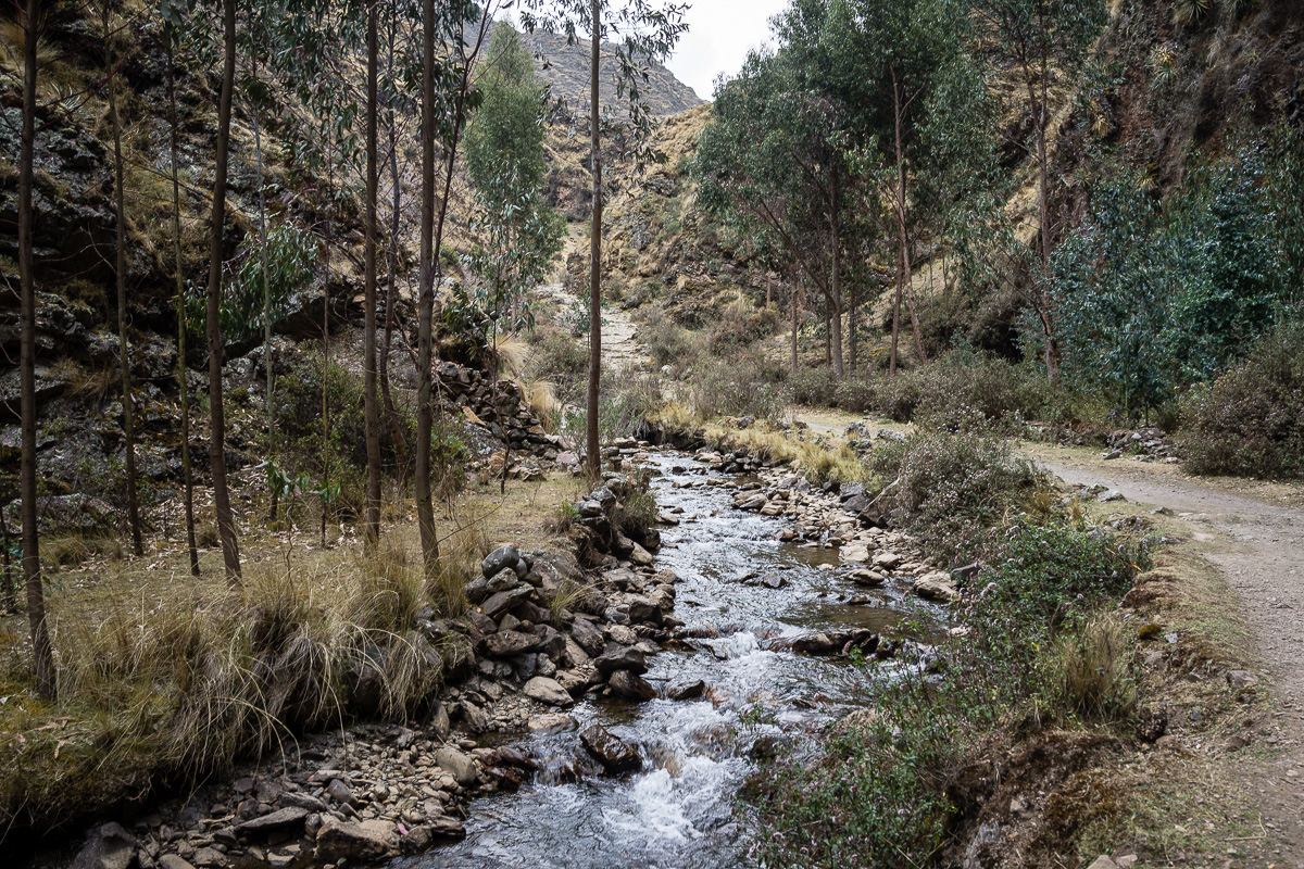 lares downhill trail-8