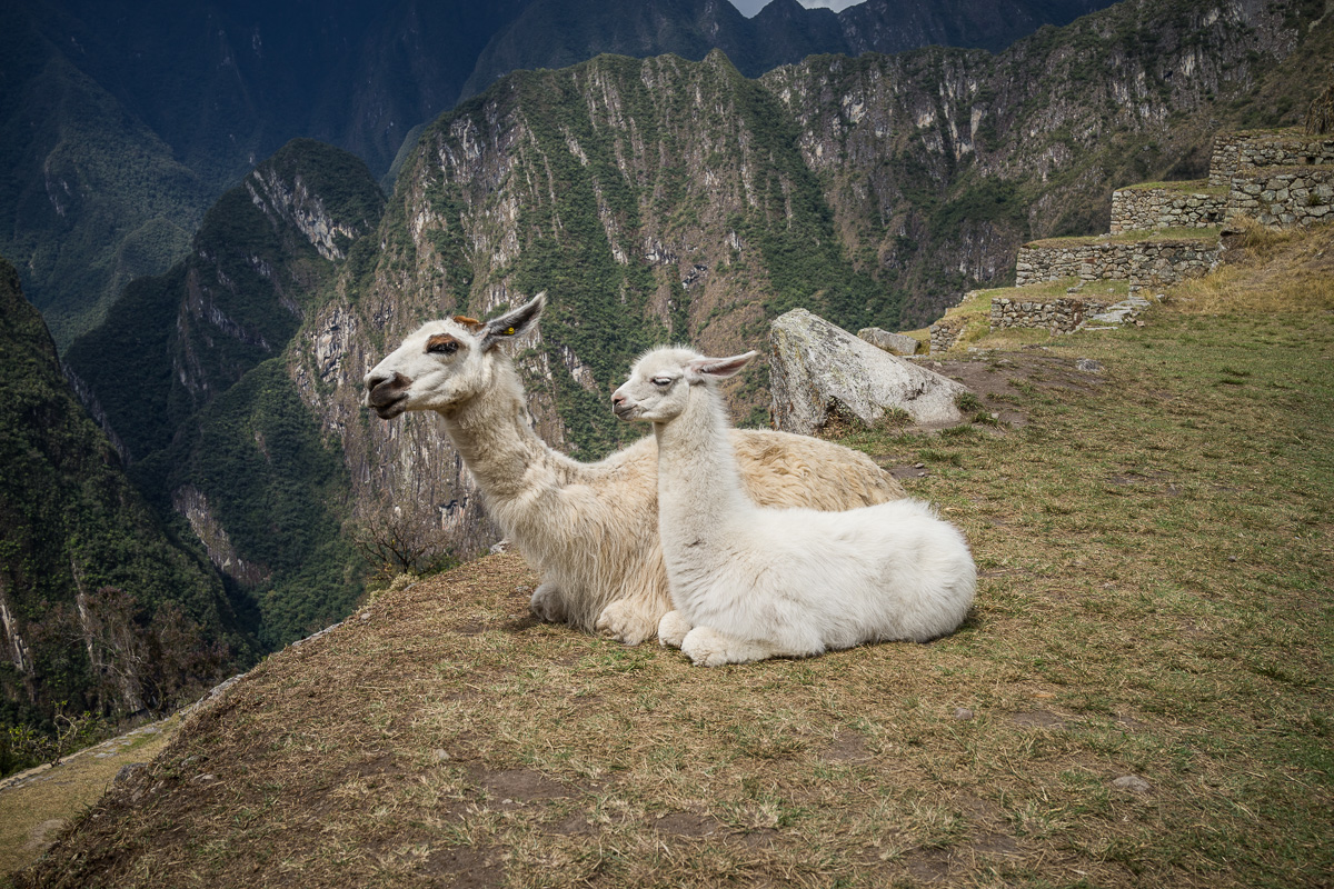 machu pichu-18