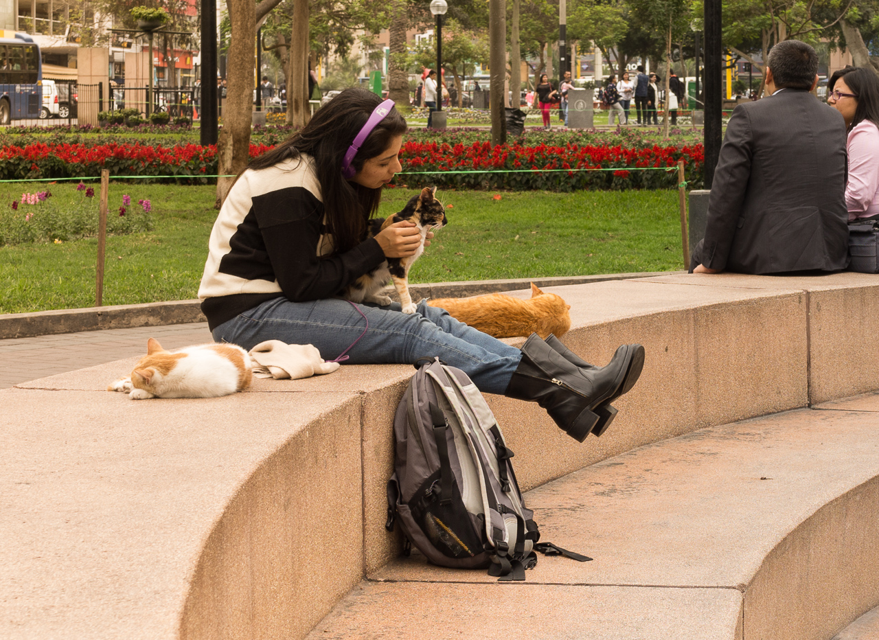 parque central de miraflores-10