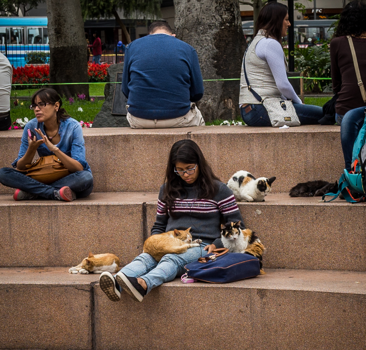 parque central de miraflores-11