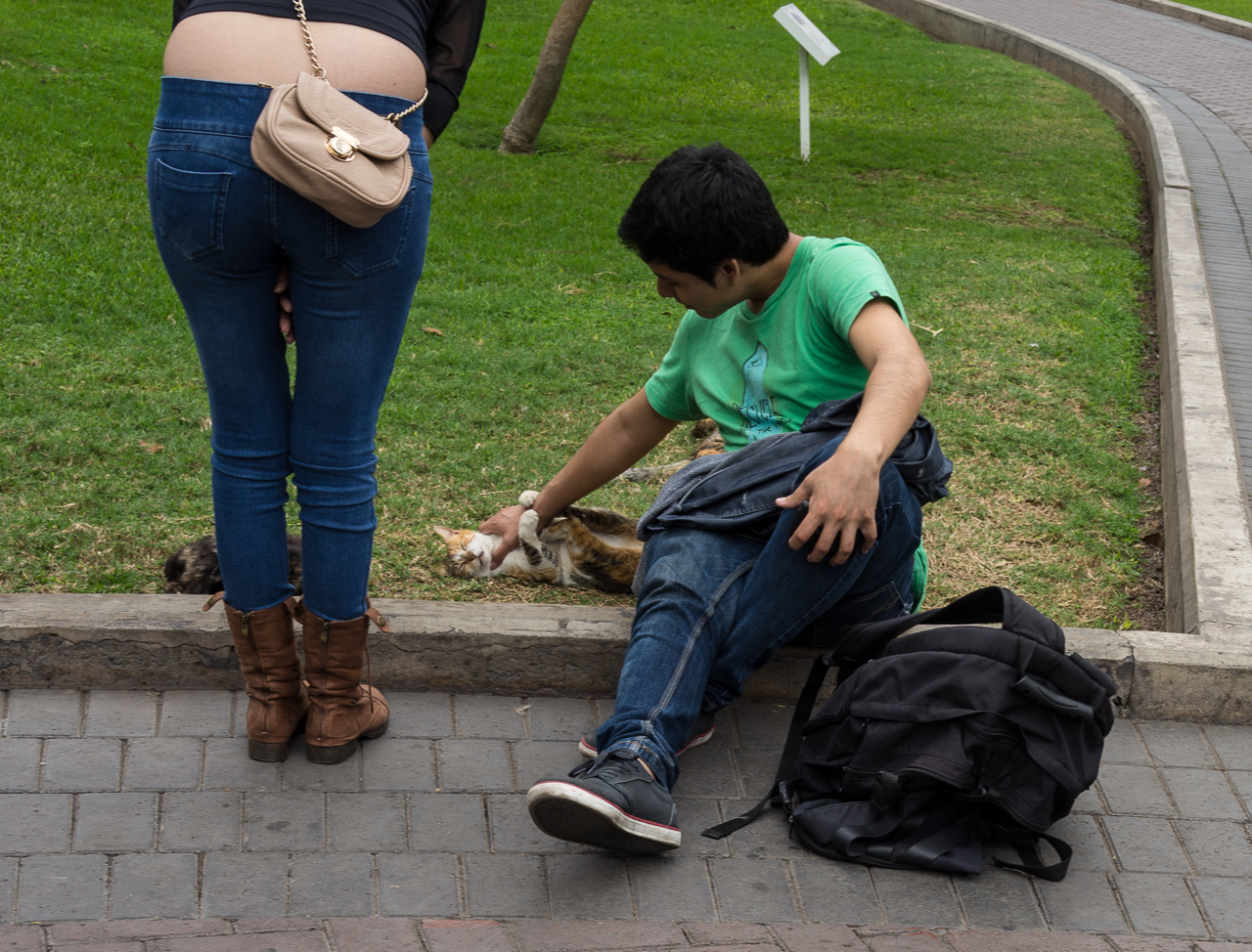 parque central de miraflores-5