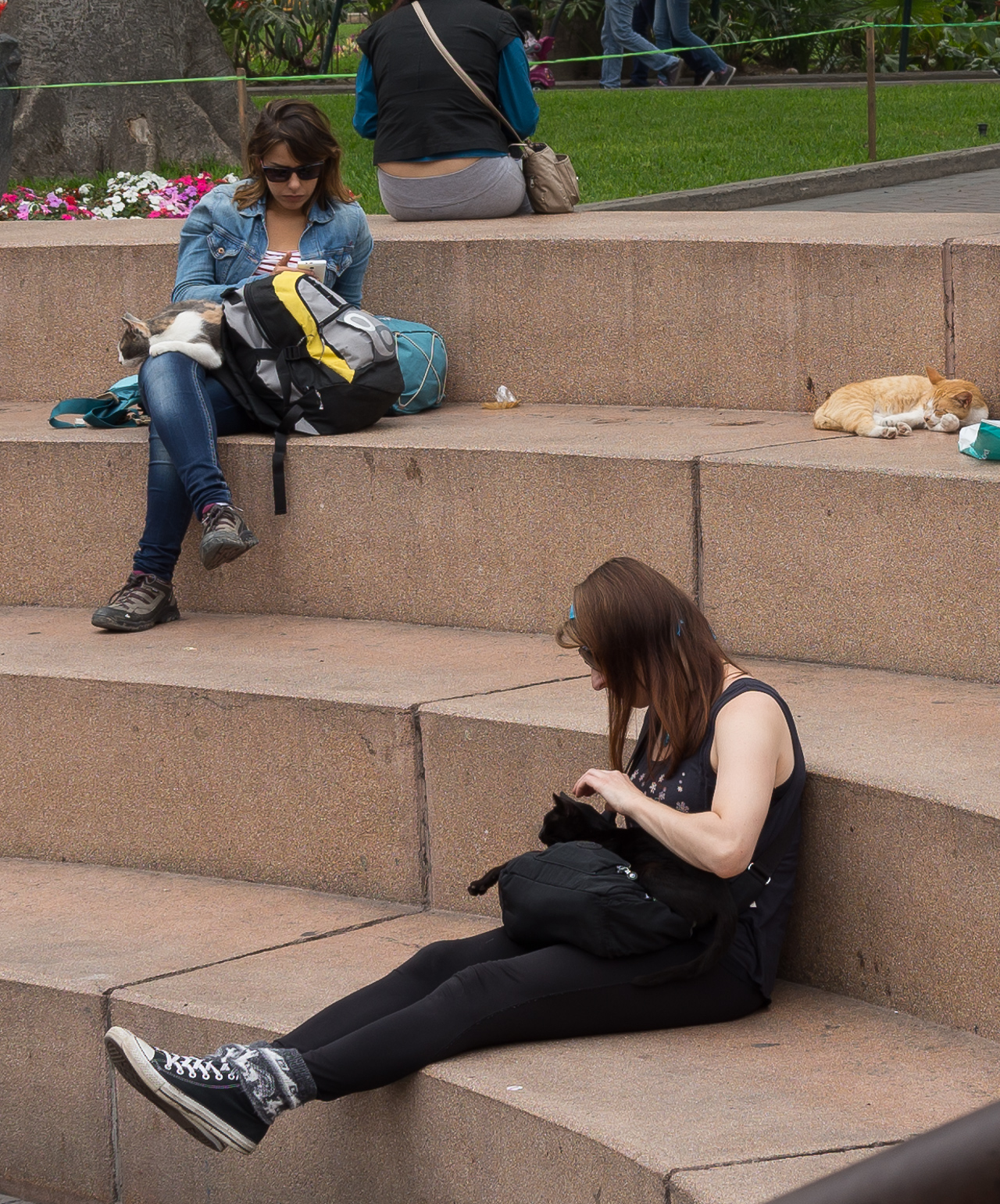 parque central de miraflores-7