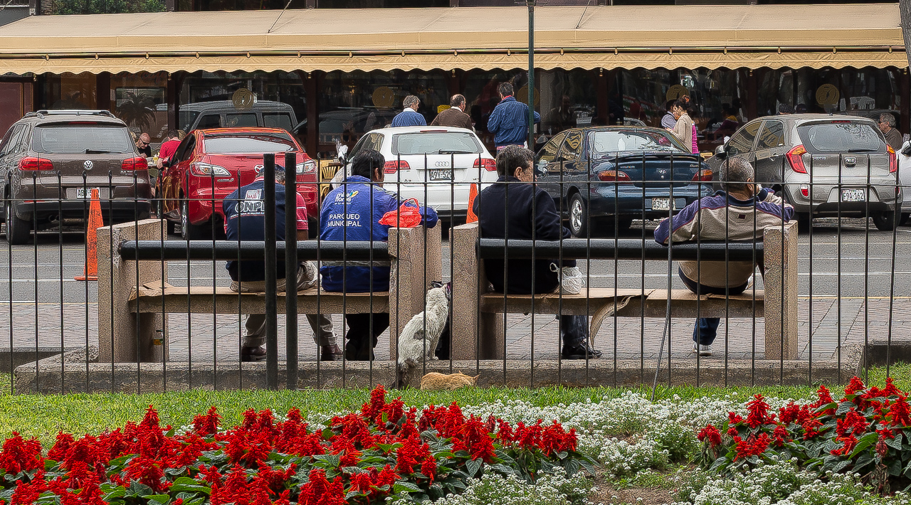 parque central de miraflores