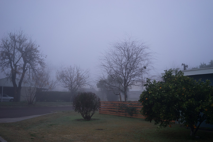 phoenix fog february 2015-4