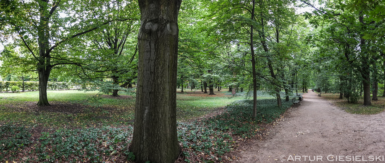 royal baths park in warsaw poland