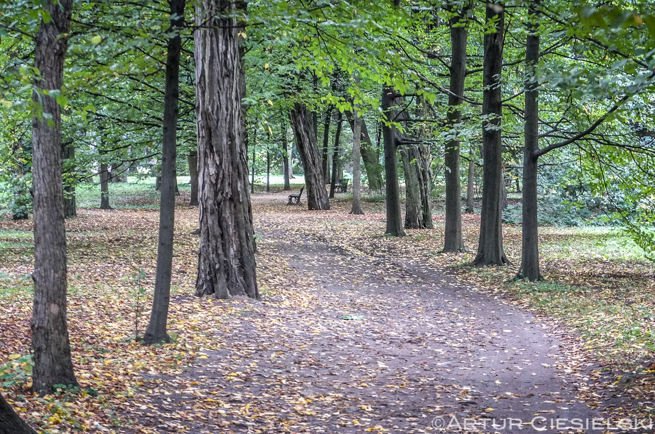 royal baths park in warsaw poland