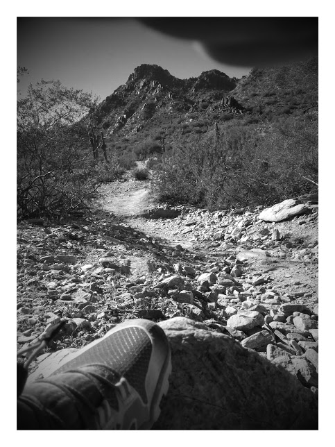 vivobarefoot trail freaks