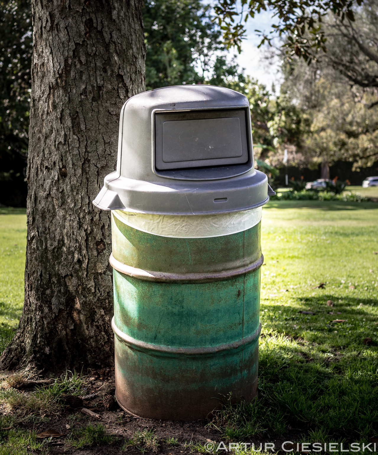 Trash Can In Holmby Park