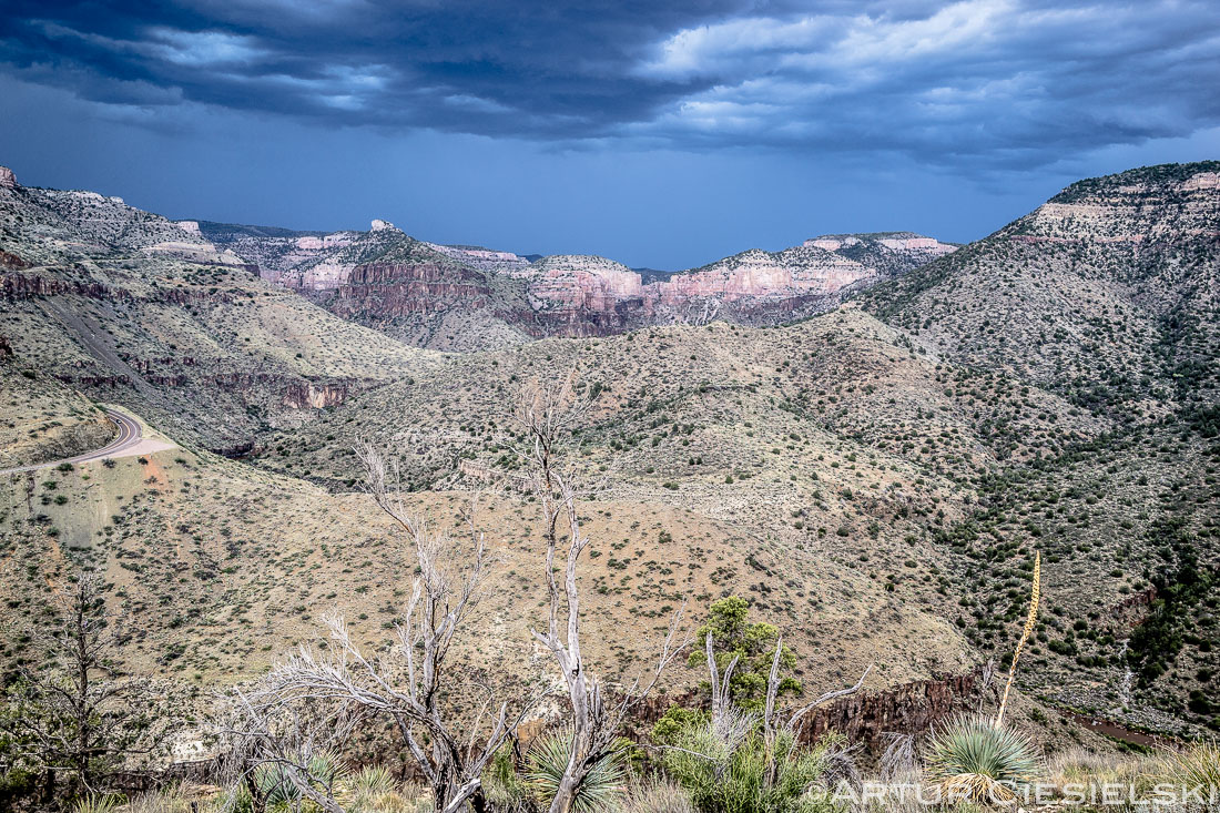 trip to pinetop-10