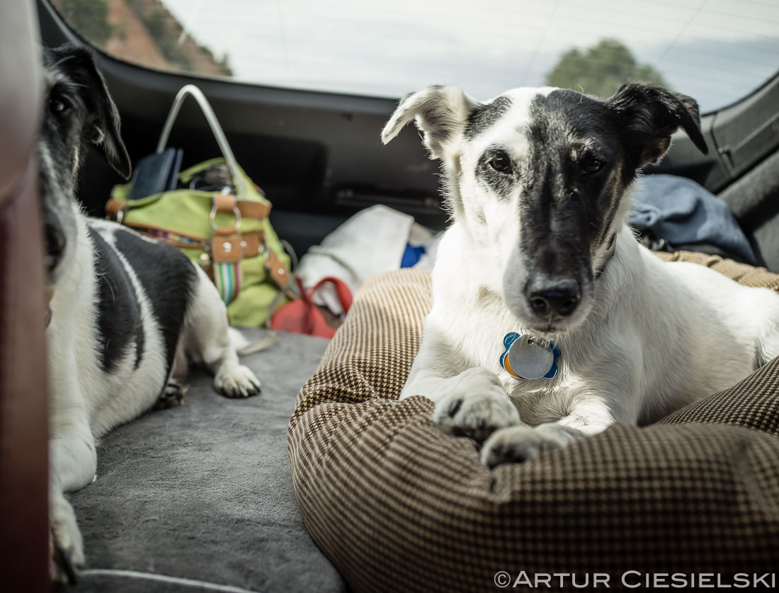 trip to pinetop-13