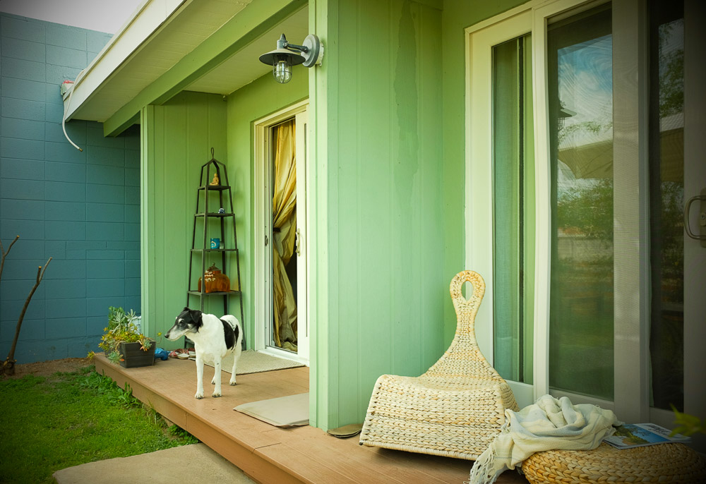 And Rupik observing it all.